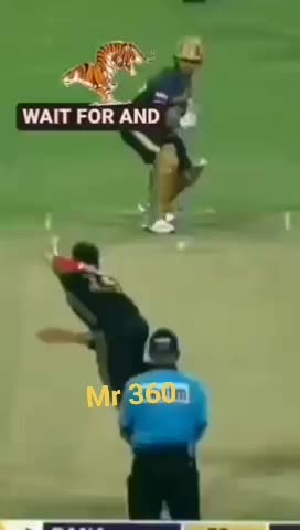 @Cricketarboy18