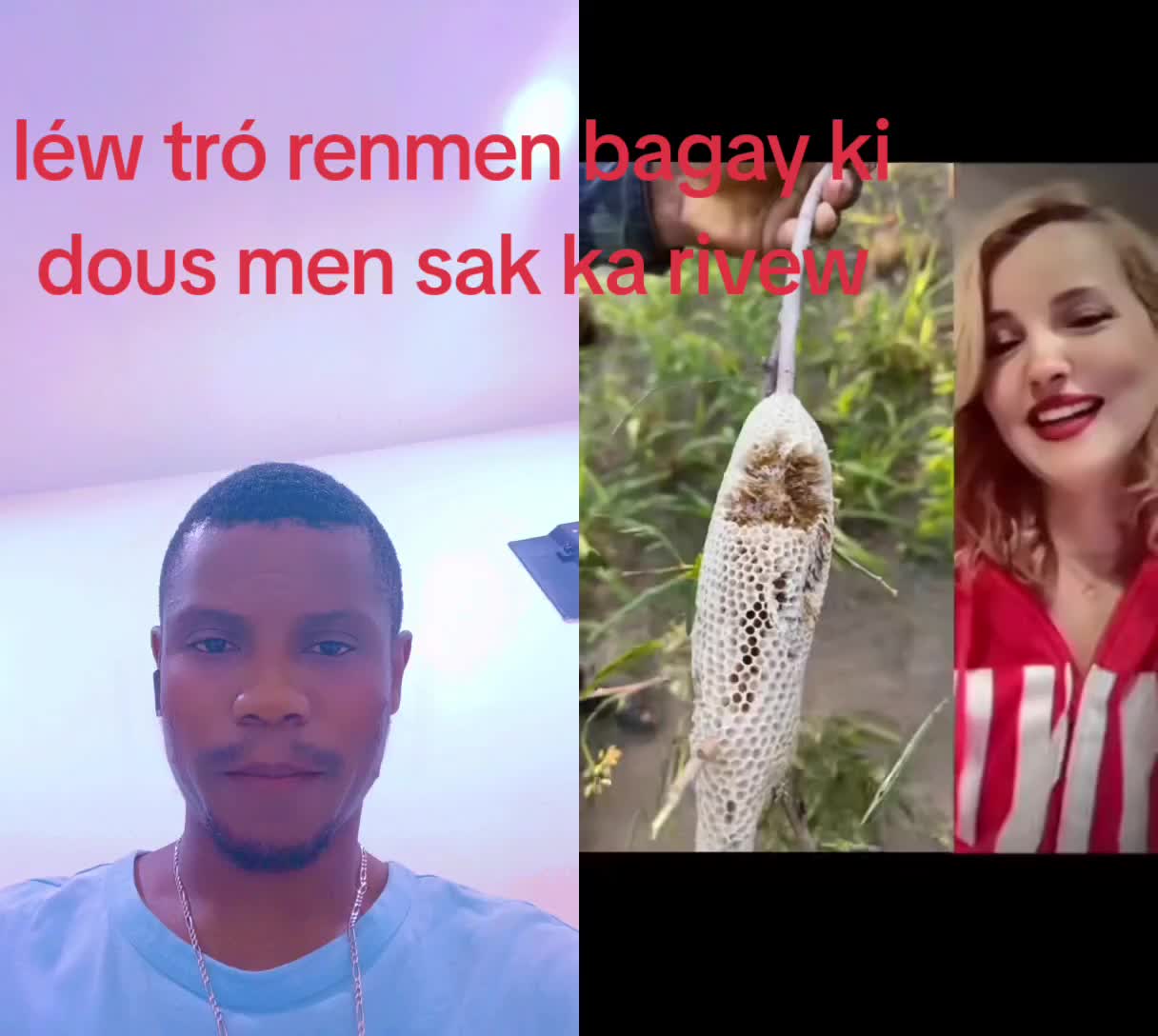 @delismenester3