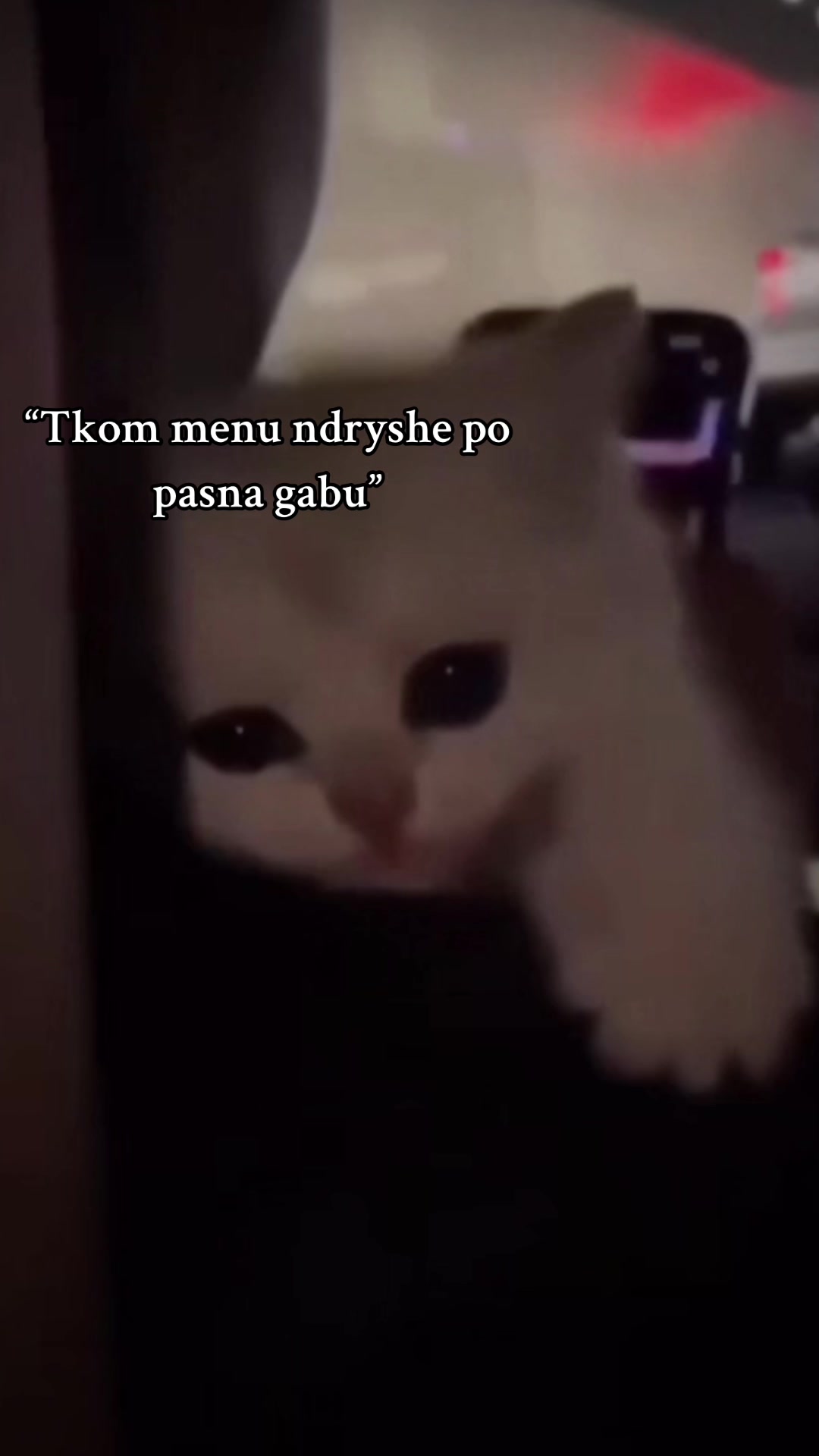 @𝒟🅾️ꪀ𝙌𝐽𝐀