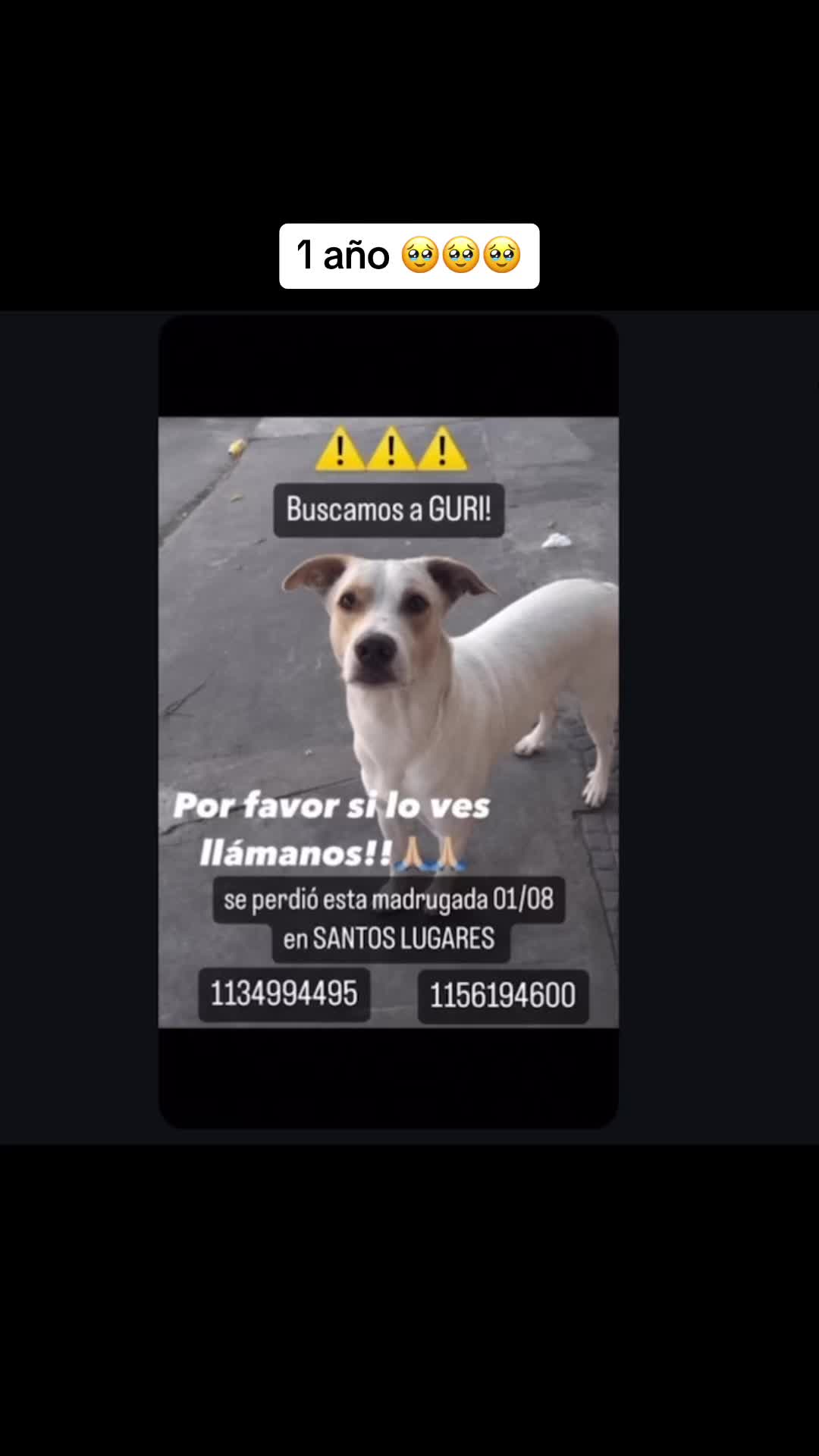 @gissellealdana2626