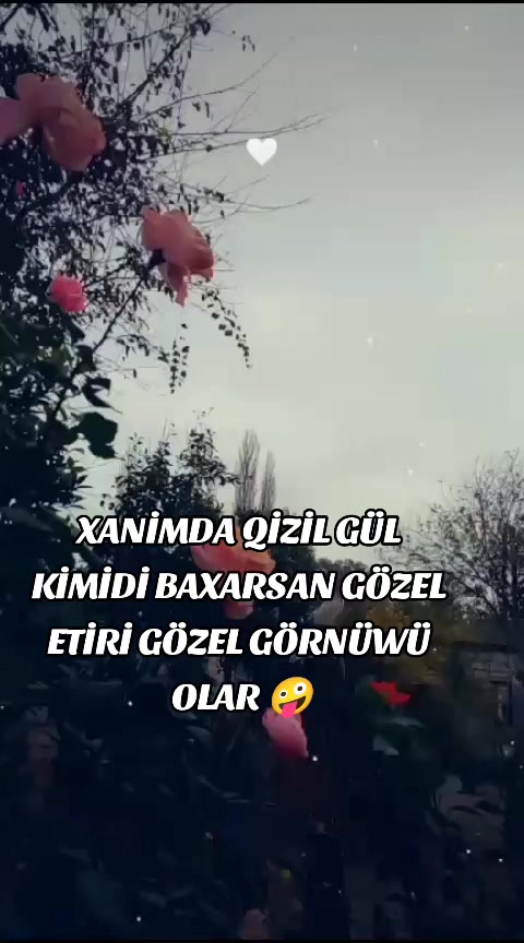 @𓊈𝄞⃝Ģ𓃠Bi៛₹ Ƒi៛₹Ti₦₳𓃠𝄞⃝Ģ𓊉