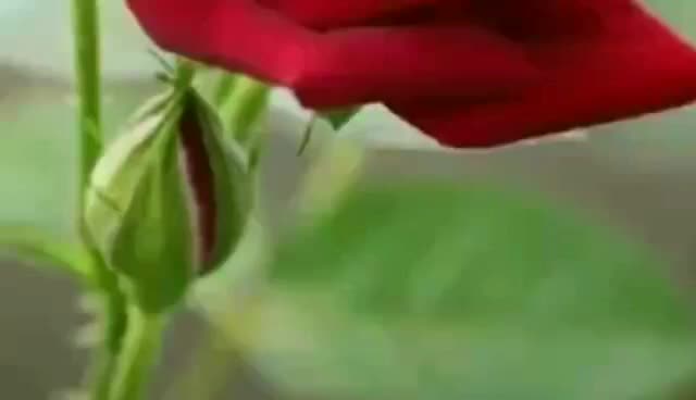 @PUSHKAR KUMAR SINGH