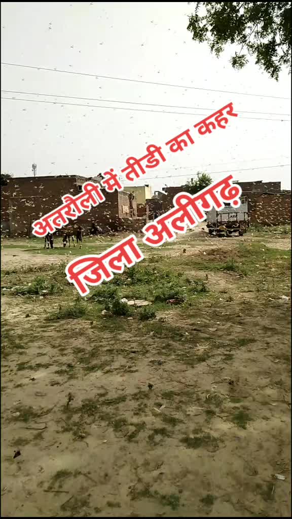@Akash chauhan