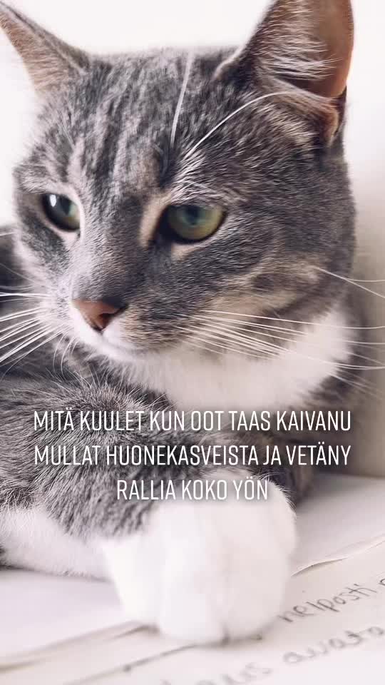 @mmawika