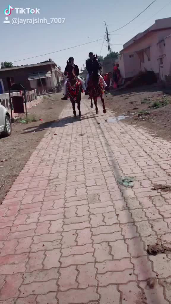 @jayrajsinh_7007