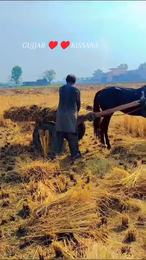 @𝐆𝐔𝐉𝐉𝐀𝐑 𝐊𝐈𝐒𝐒𝐀𝐍𝐀55