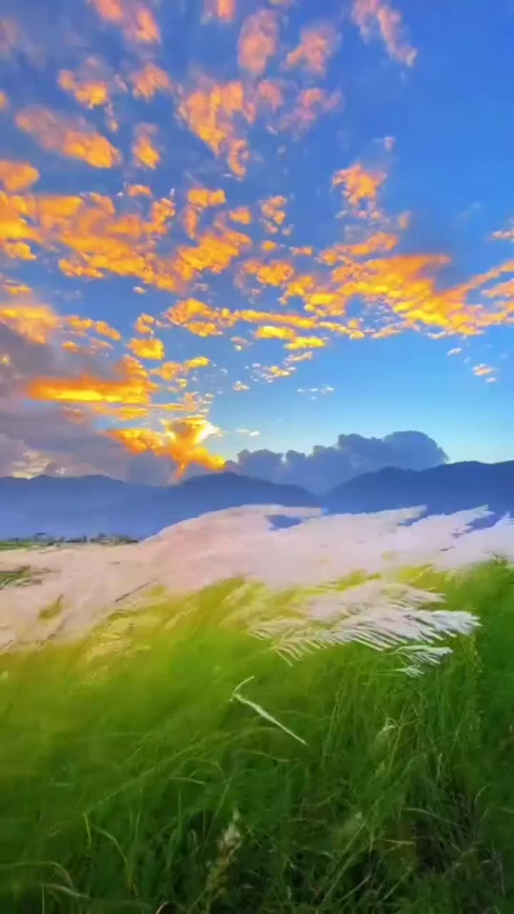@topraksucan47