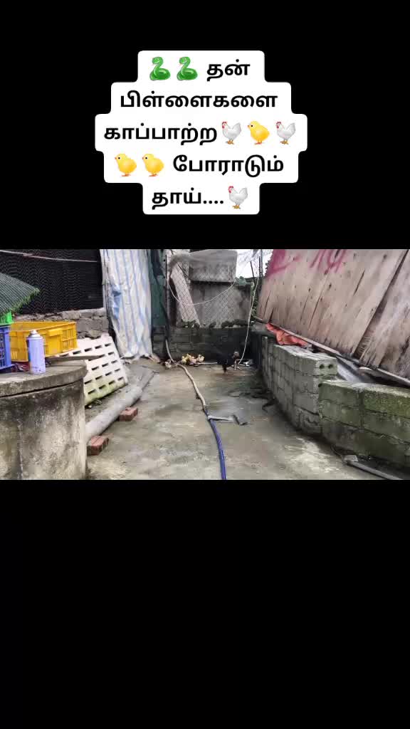 @user64938365447