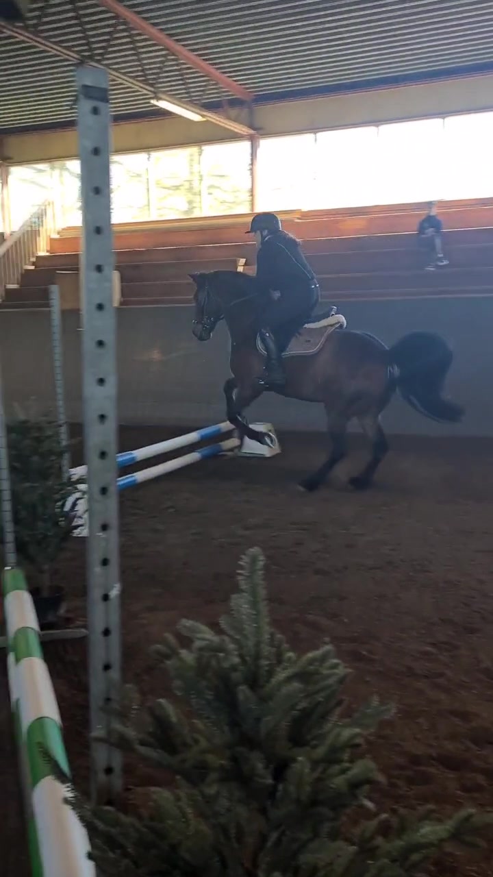 @🐎Ridning🐎 {3,8K}