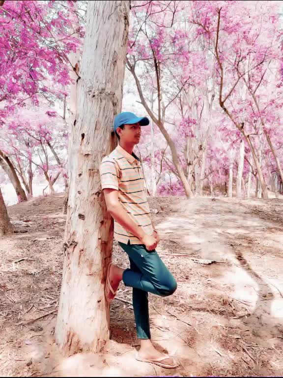 @Ajay Kamboj