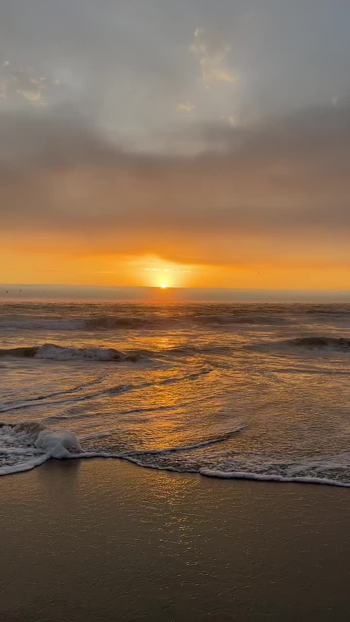 @Dancarrillophoto