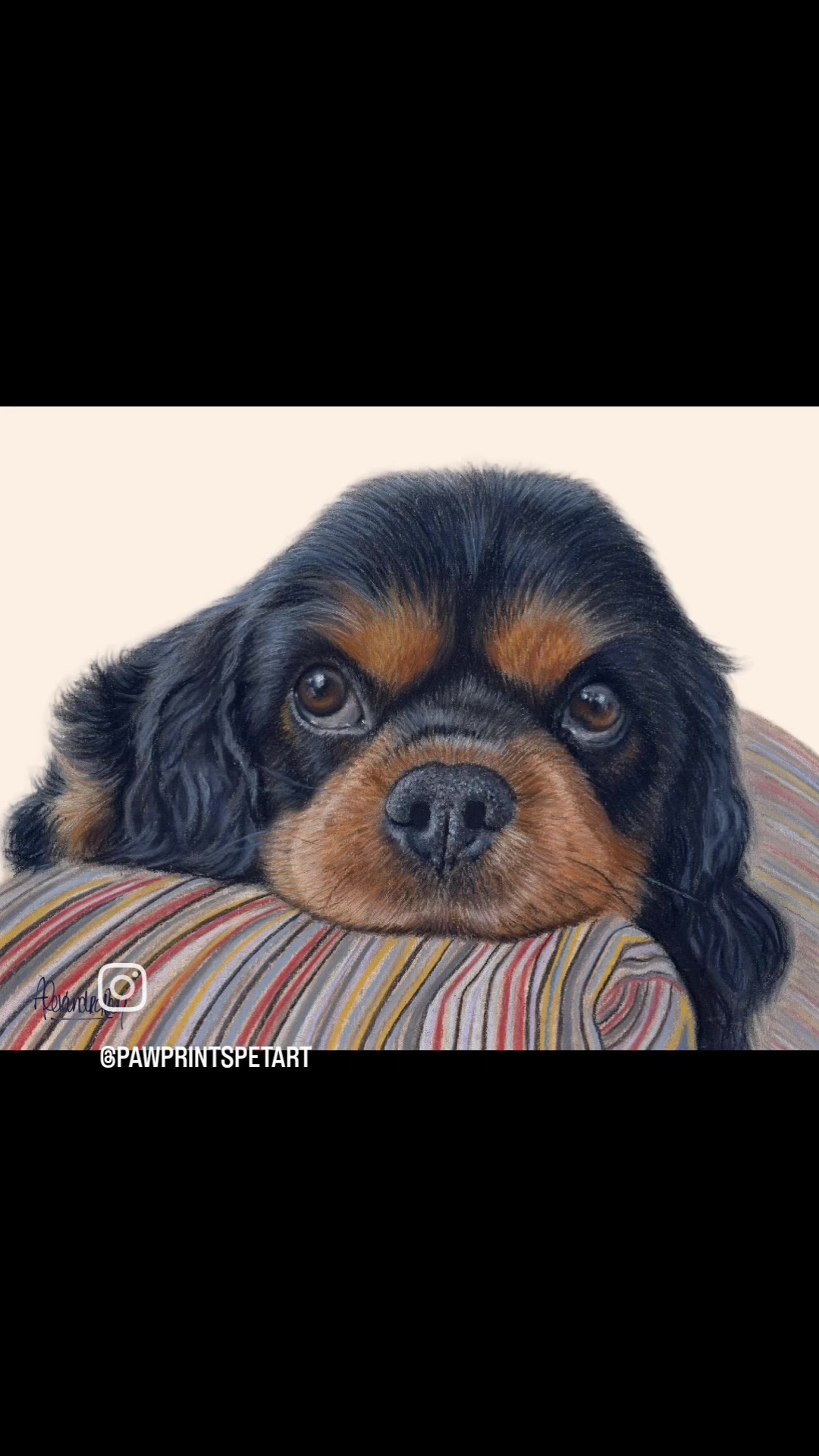 @Paw Prints Pet Art
