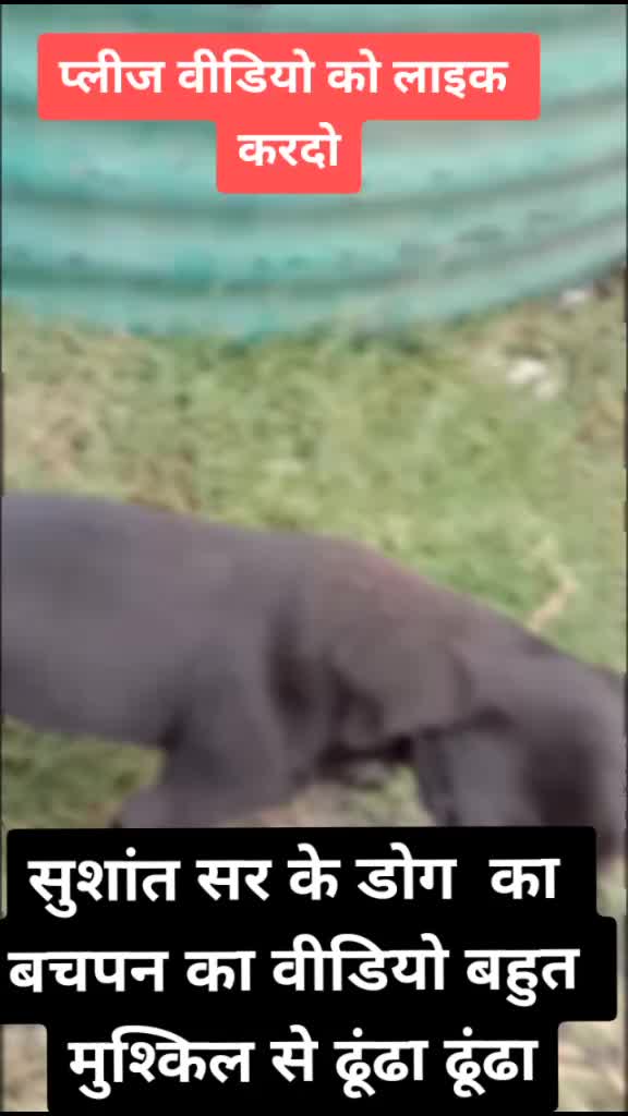 @GANVEER SINGH RAJPUT