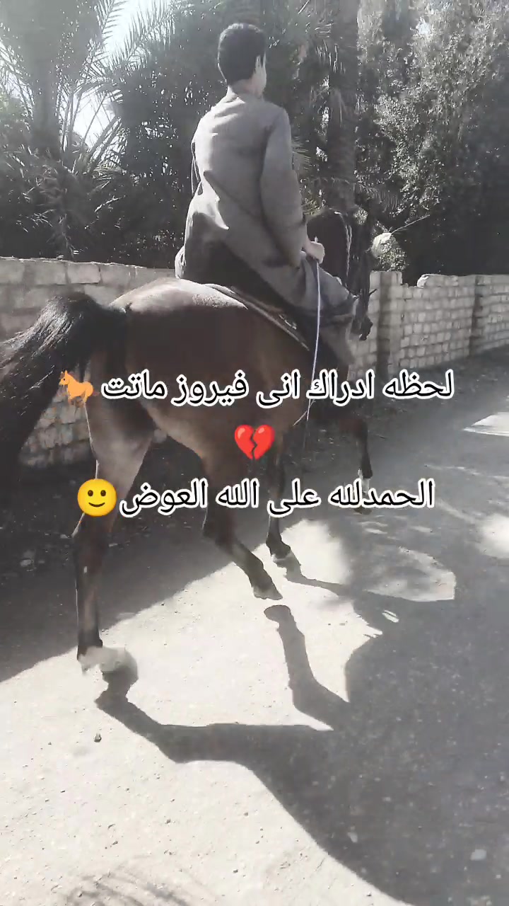 @شريف أبو إسماعيل ❤ ✨