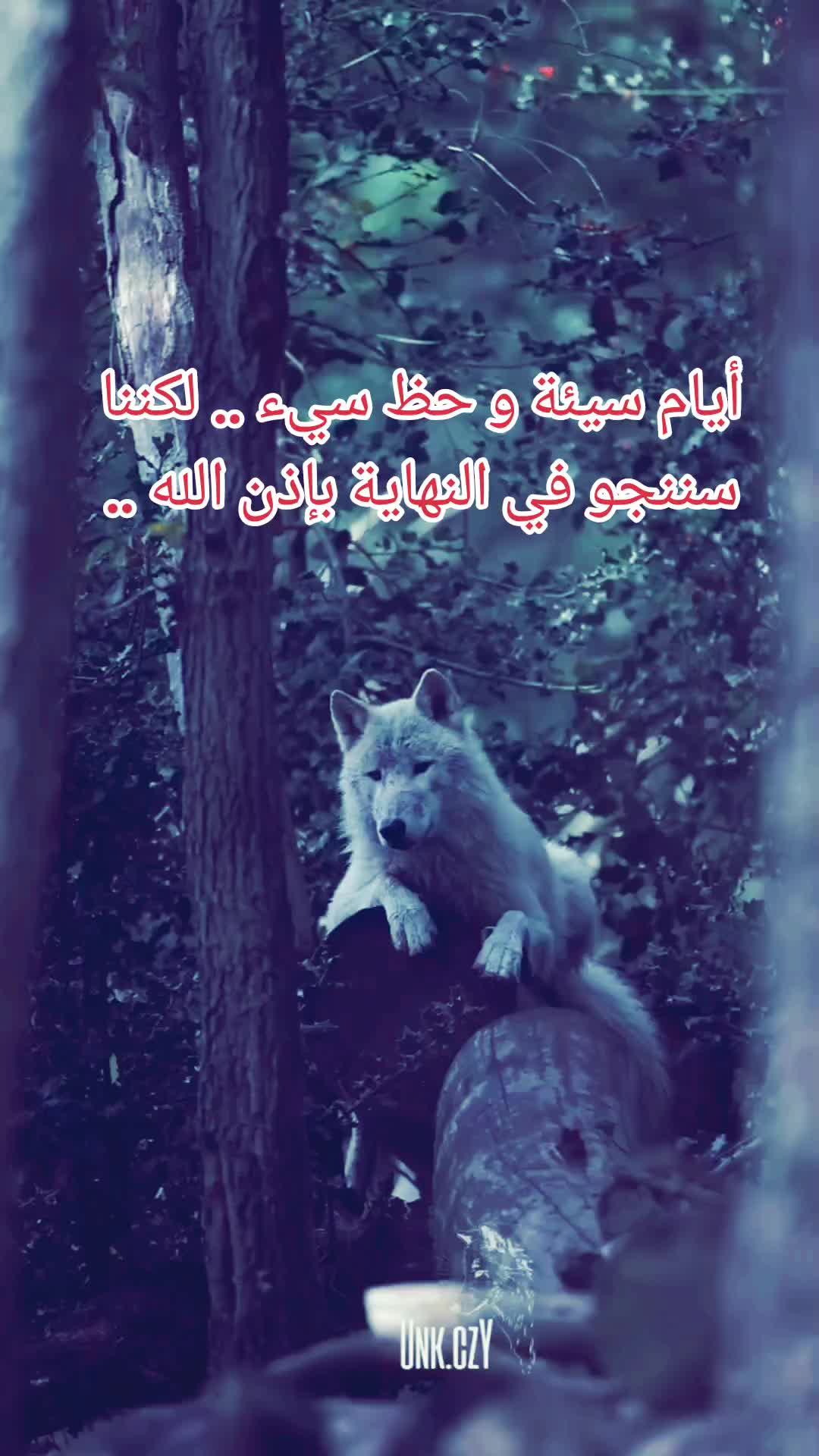 @walid Badi