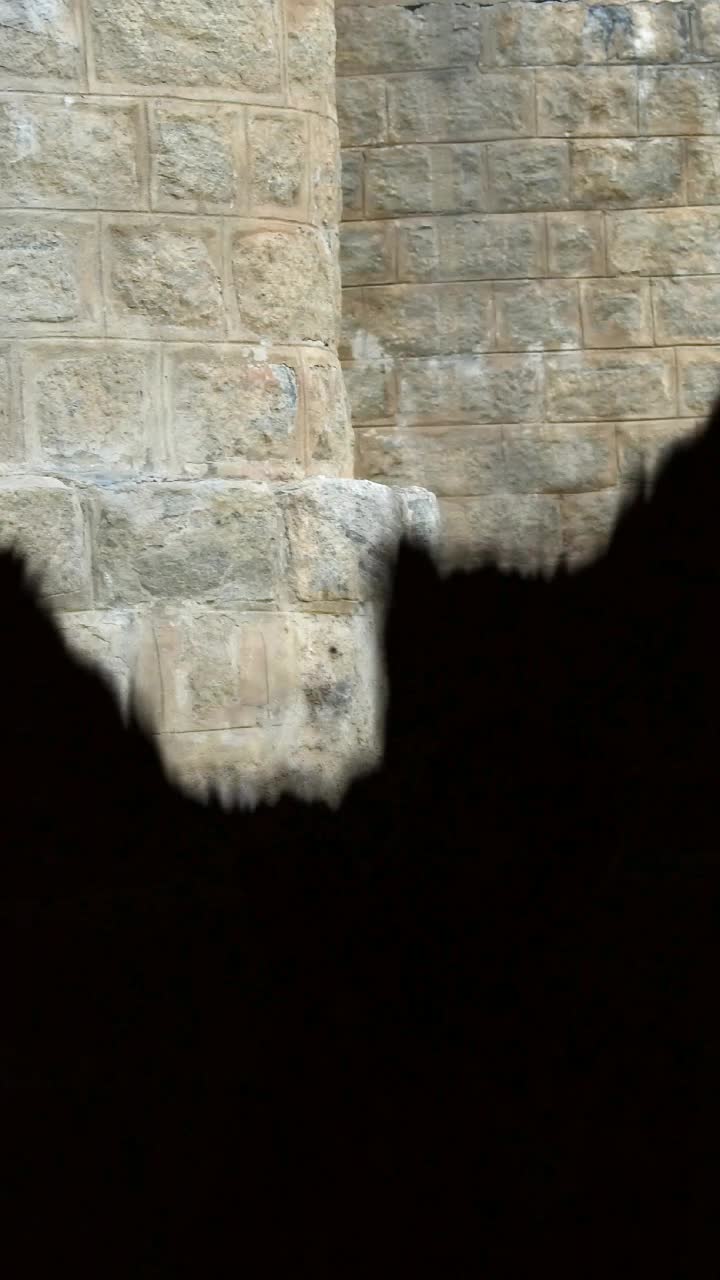 @പുലിക്കാട്ടിൽ 'ചാർലി