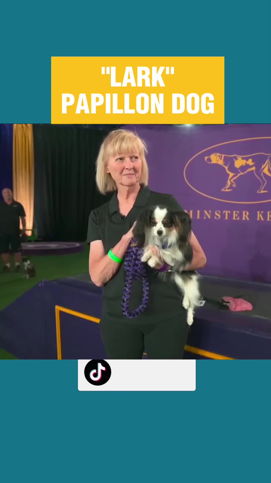 @MOST TALENTED ANIMALS