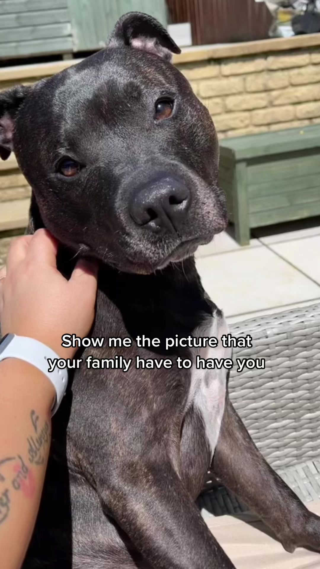 @Lauren