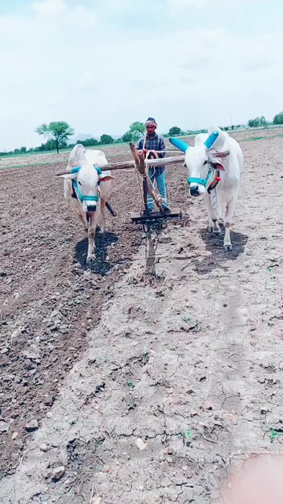 @Beerappa Yadav