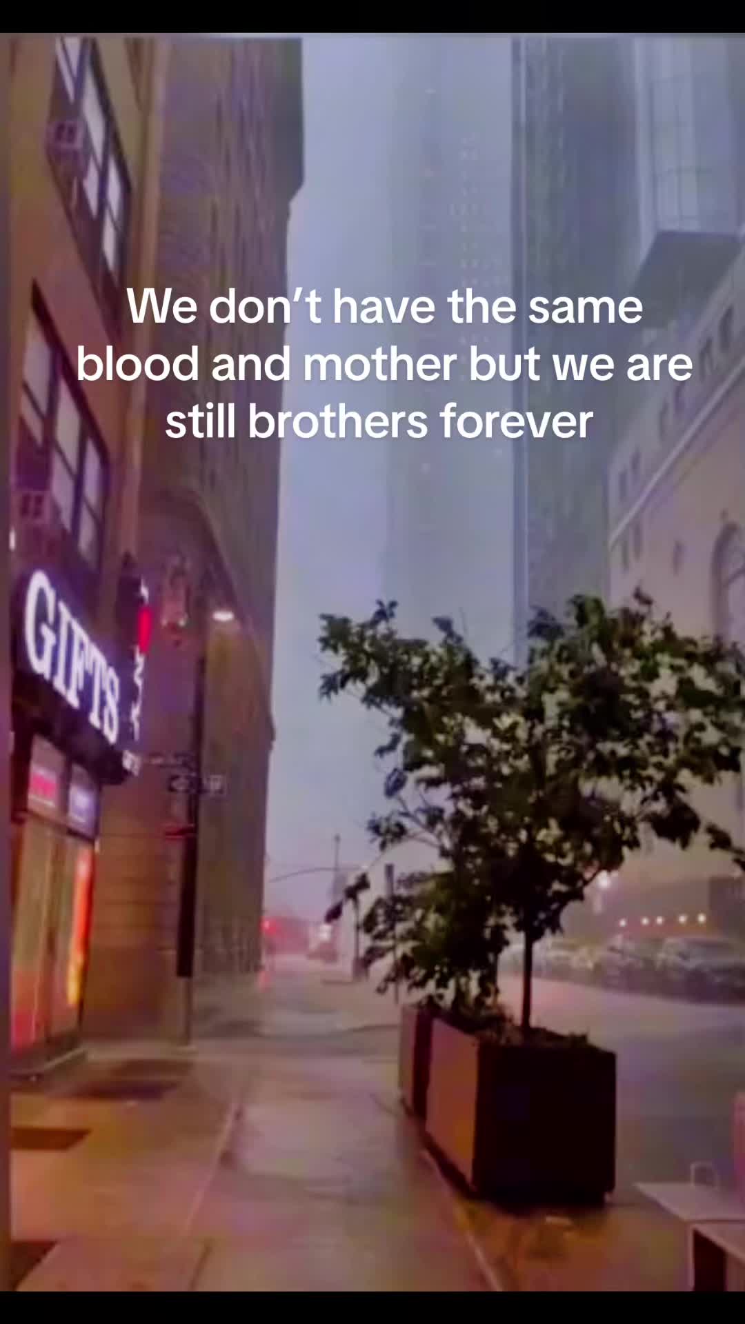 @He\him