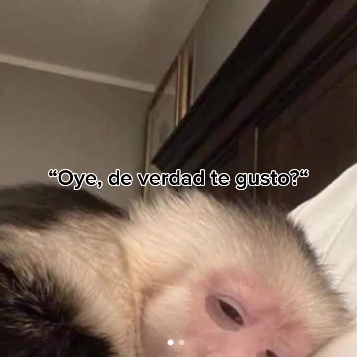 @Leidi💗