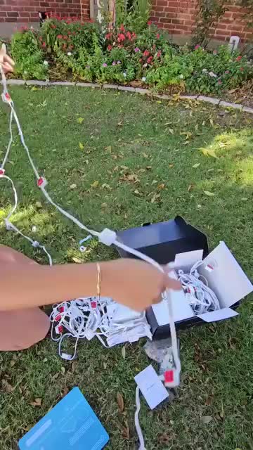 @dbmchicyjg1