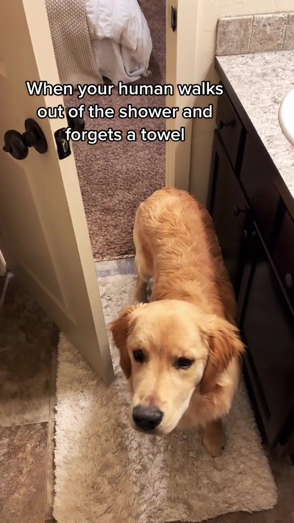 @George The Golden