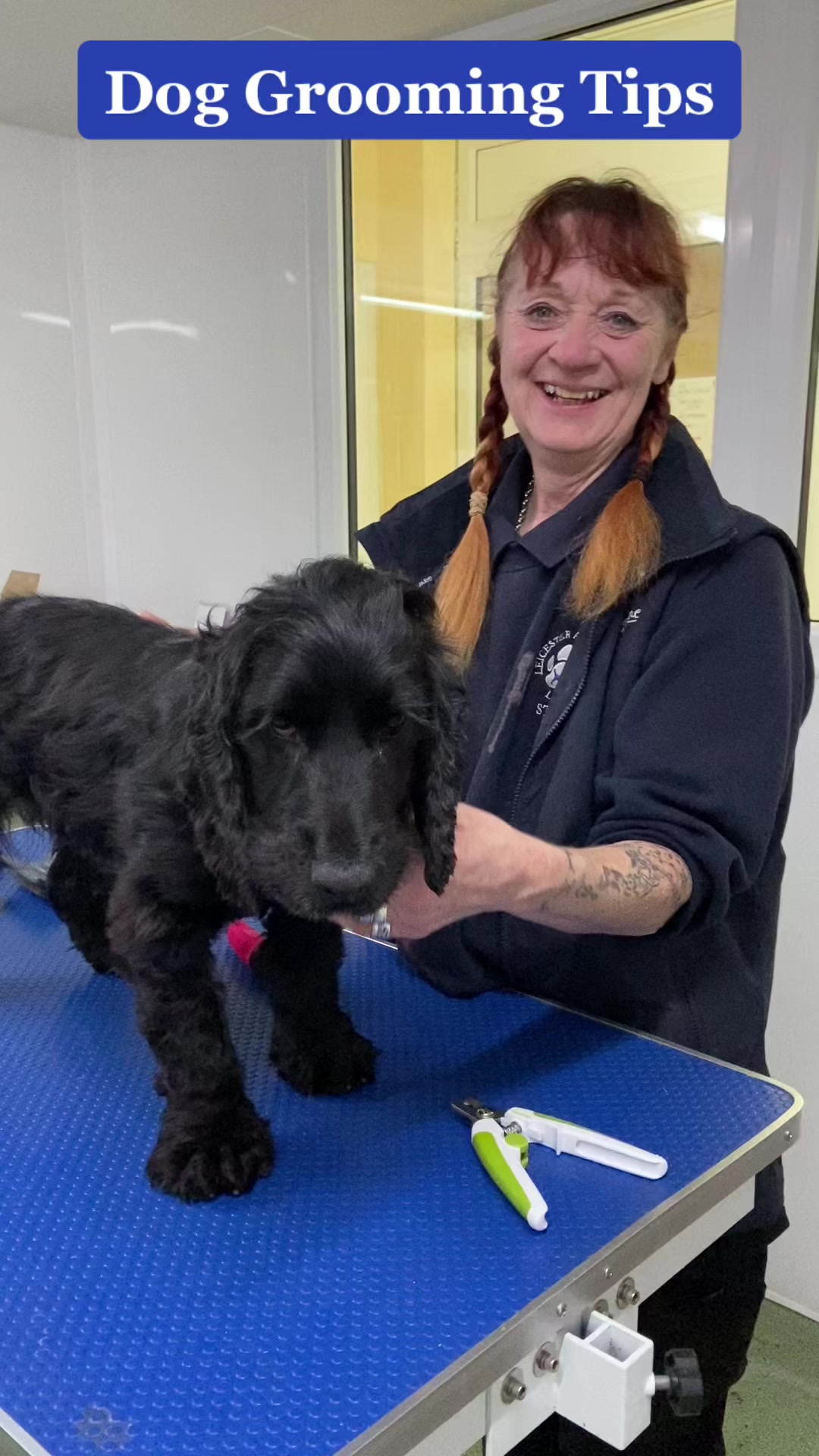 @LeicesterAnimalAid