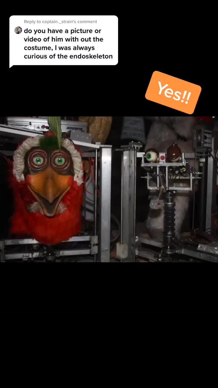@Animatronics Galore