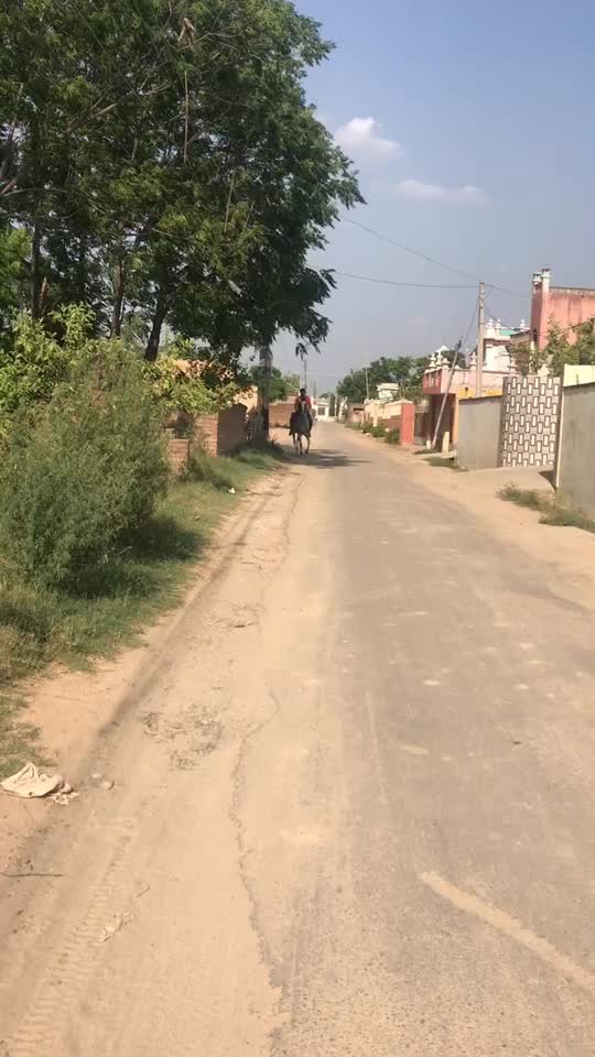 @Aman Benipal