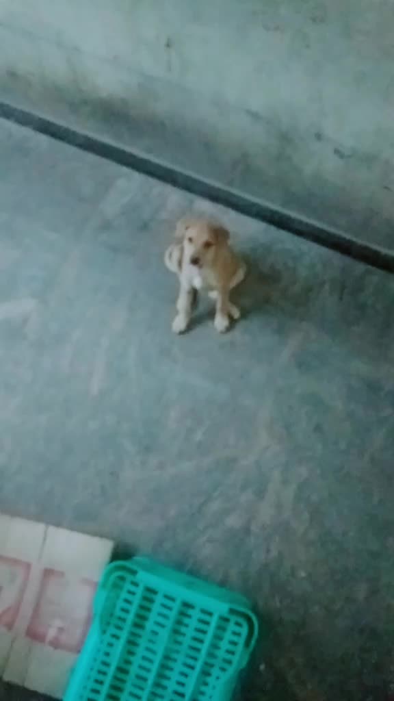 @Manikandan Manikkam