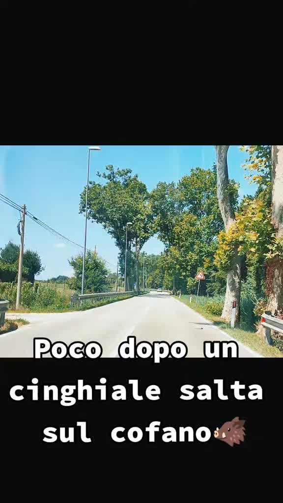 @Emy ❤️Morgan❤️Naomi❤️