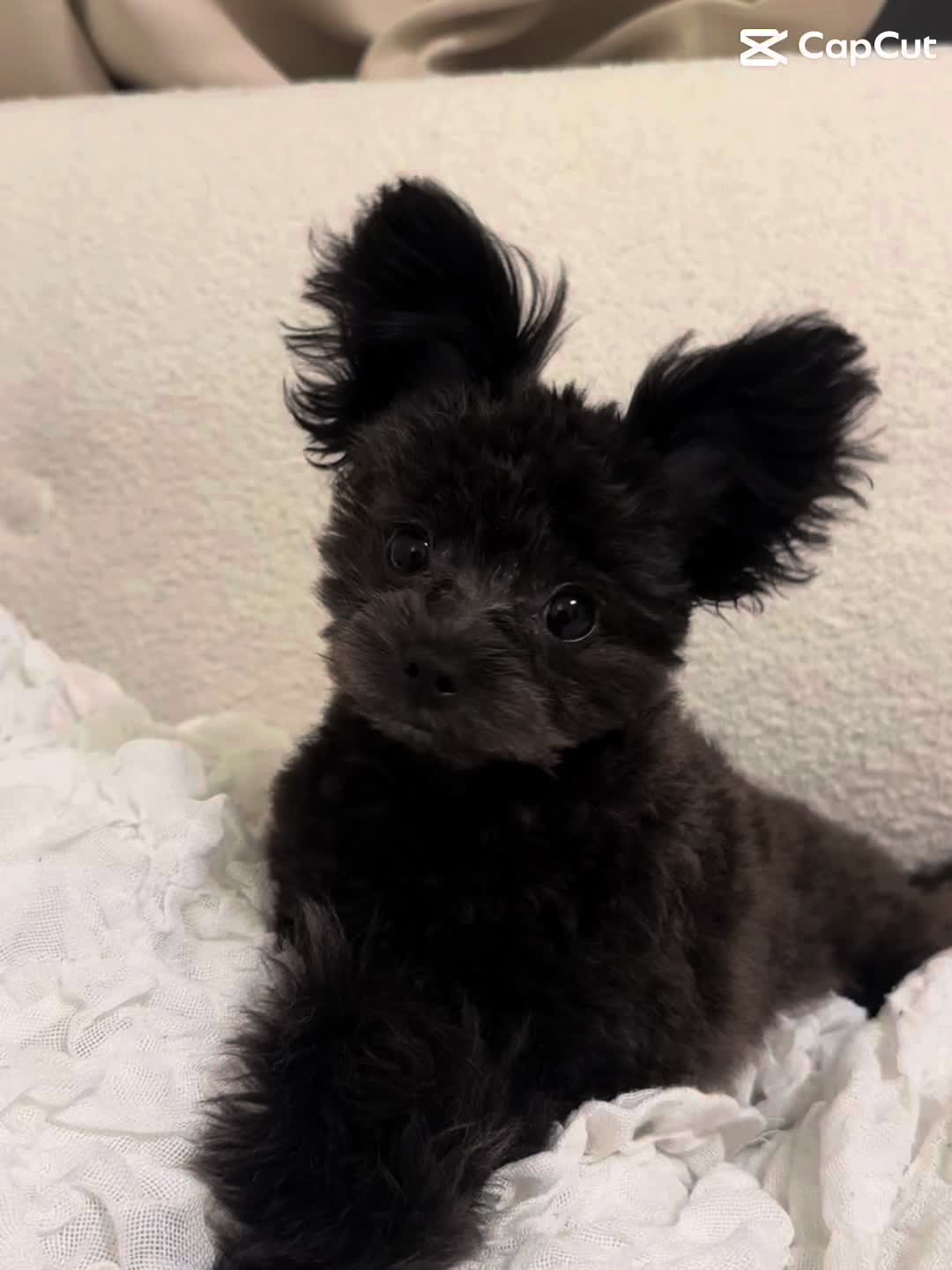 @ig&lsquo; lilyabillon