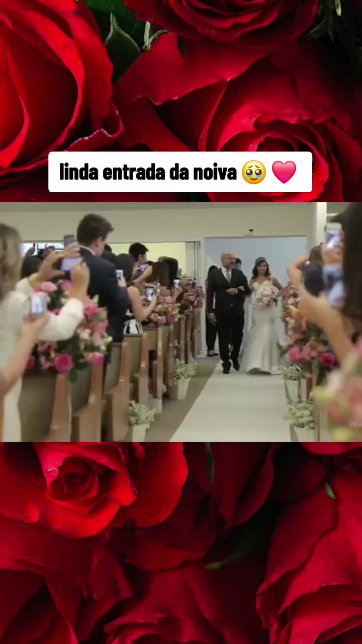 @Renata Araújo