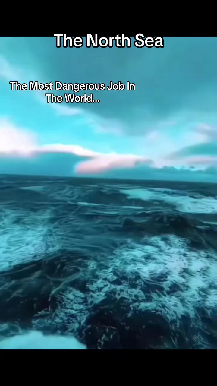 @Funfacts24