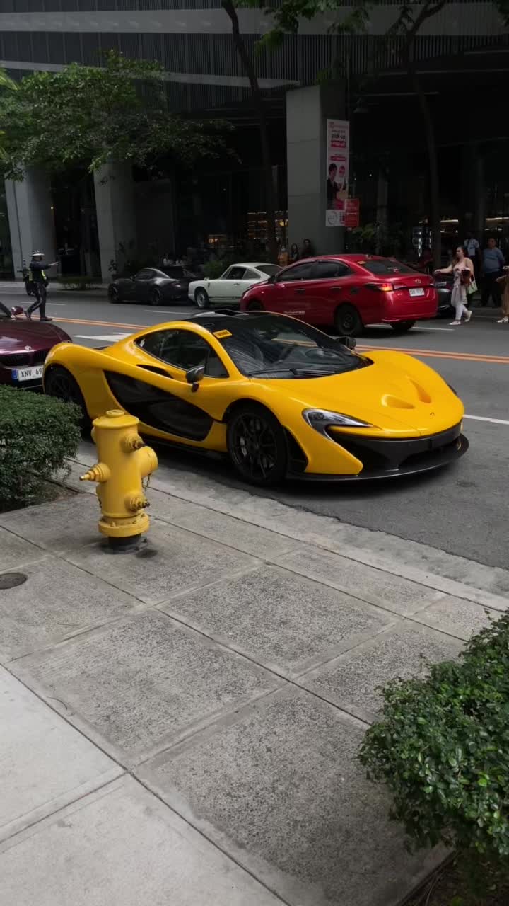 @Manila Exotics