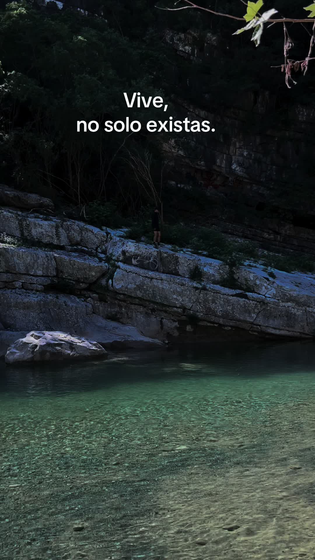 @Jesus Luis HP