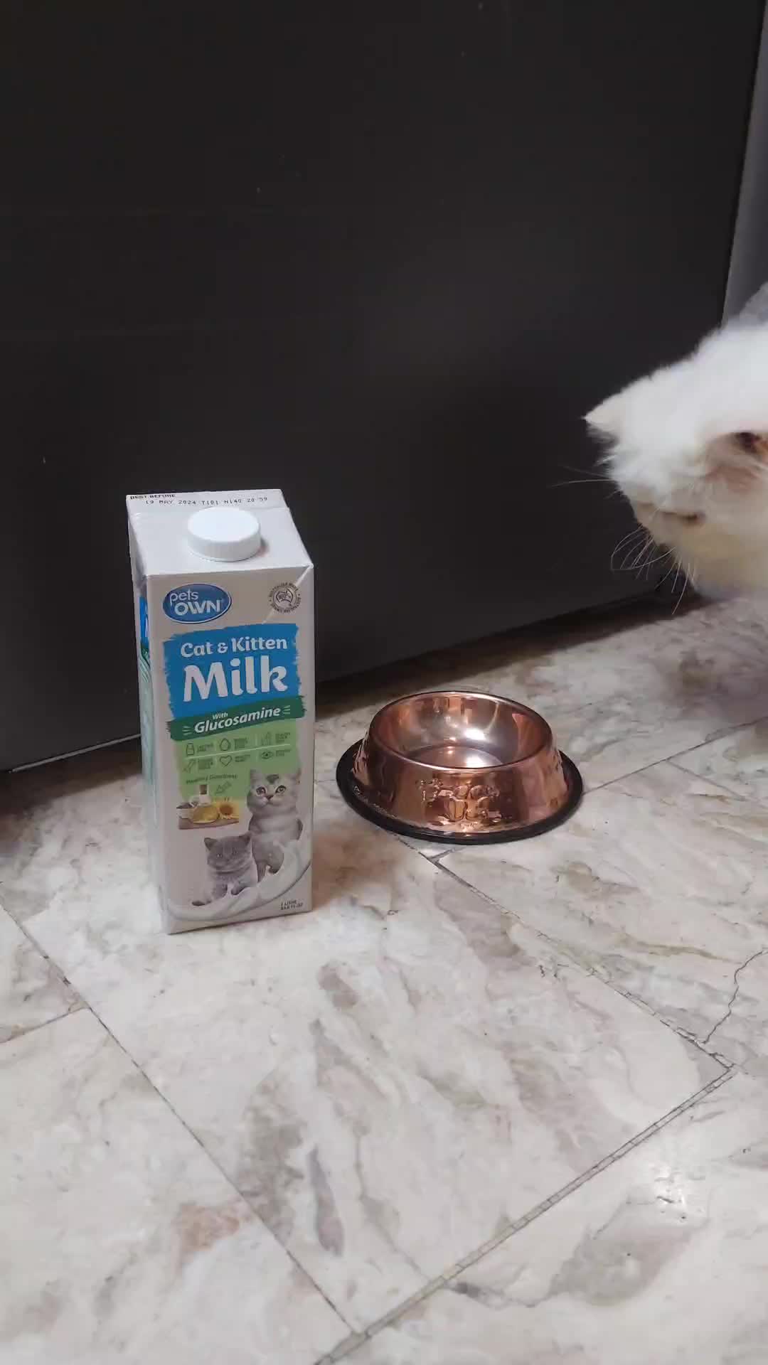 @Maracats Pet Supplies