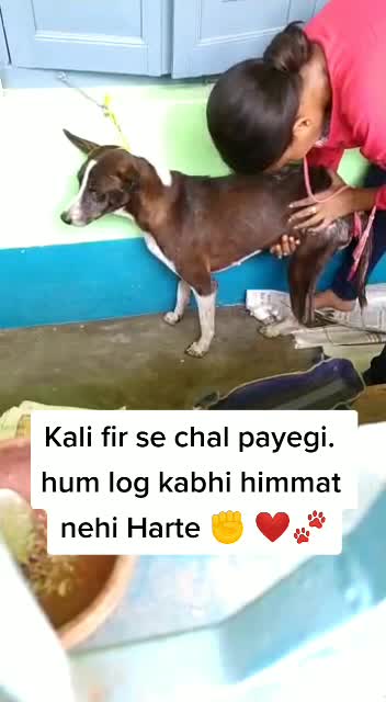 @Mahi Fouzder🐾😇
