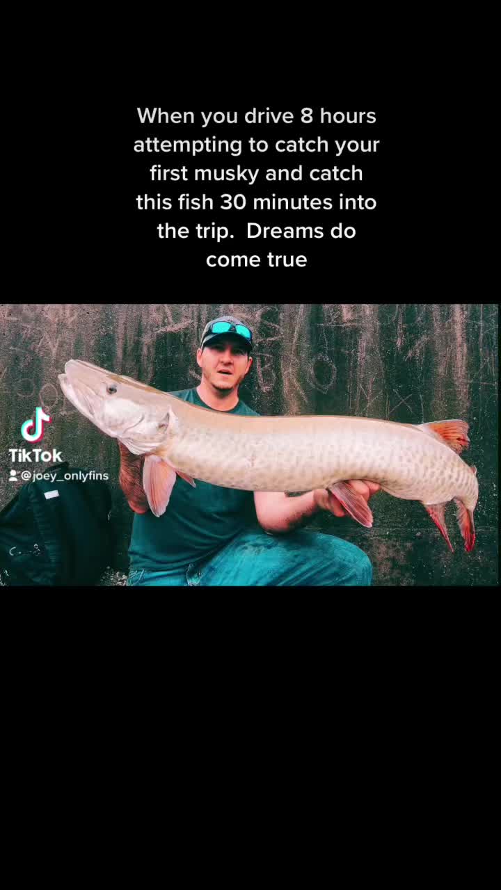 @joey_onlyfins