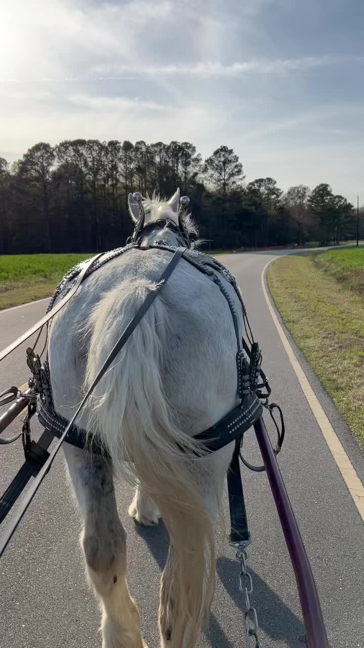 @southerncharmcarriages