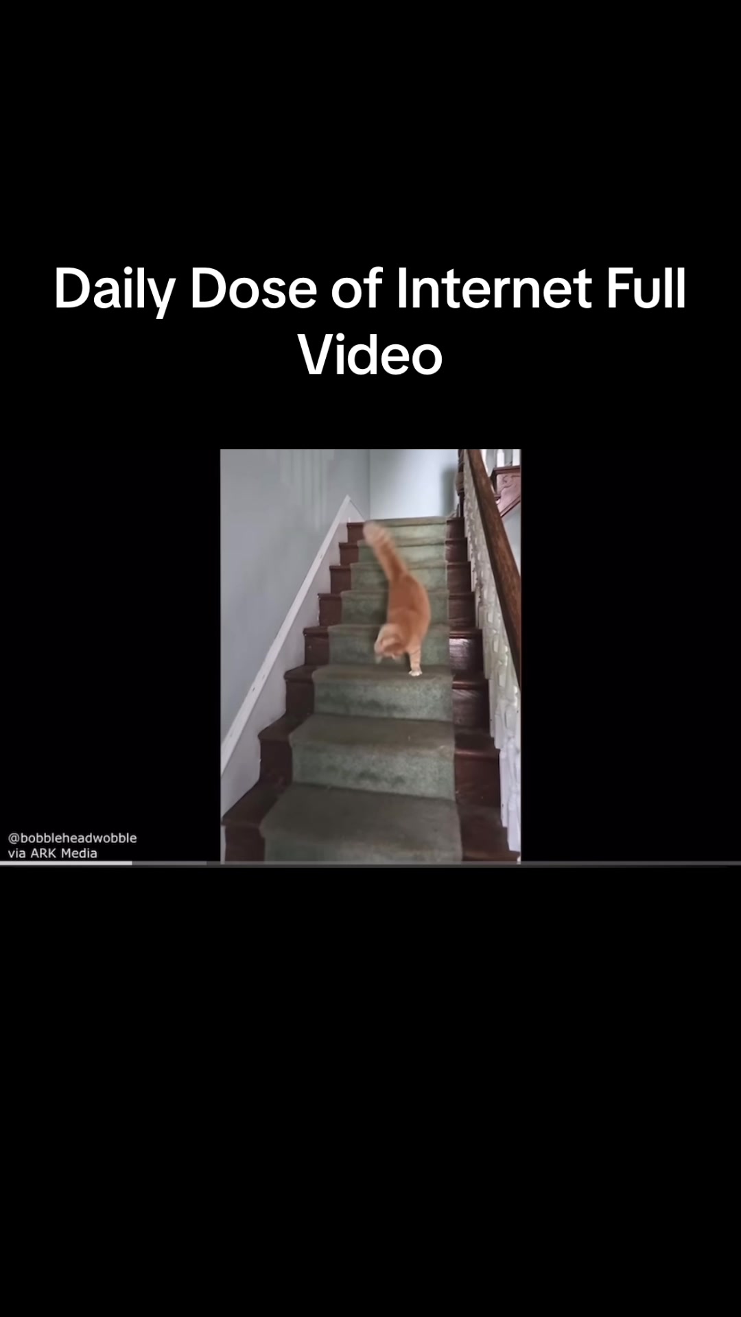 @TheDailyDoseRepost