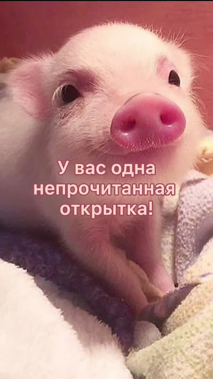 @GartonGatti