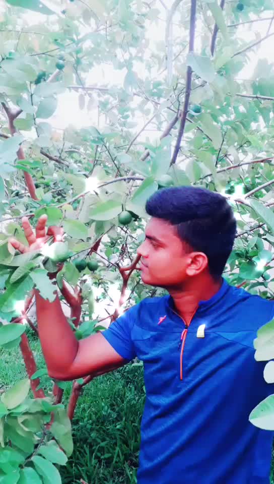 @Anil Anil