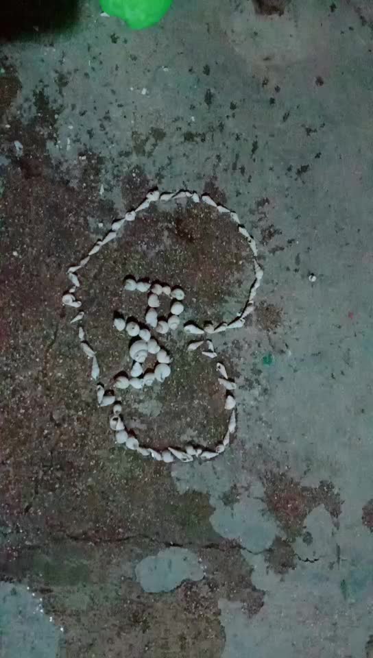 @user3744032218113