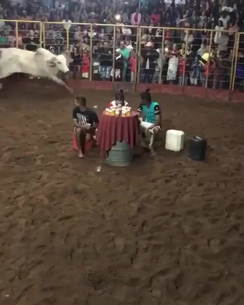 @RodeoWrecksFanPage