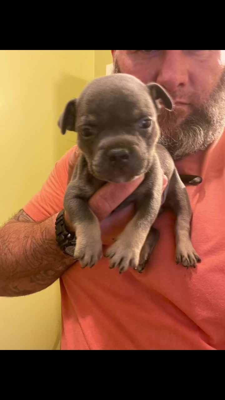 @smithbrothersbullies1