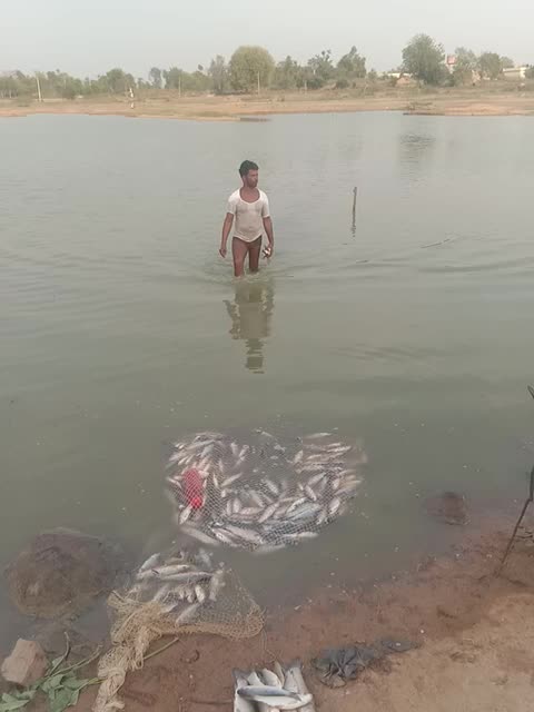 @Suresh Bheemari