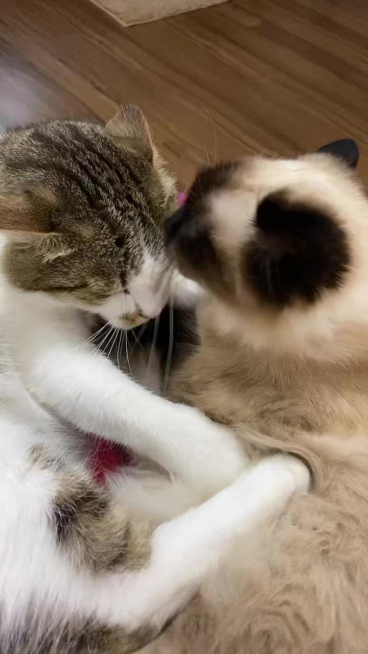 @Мурка