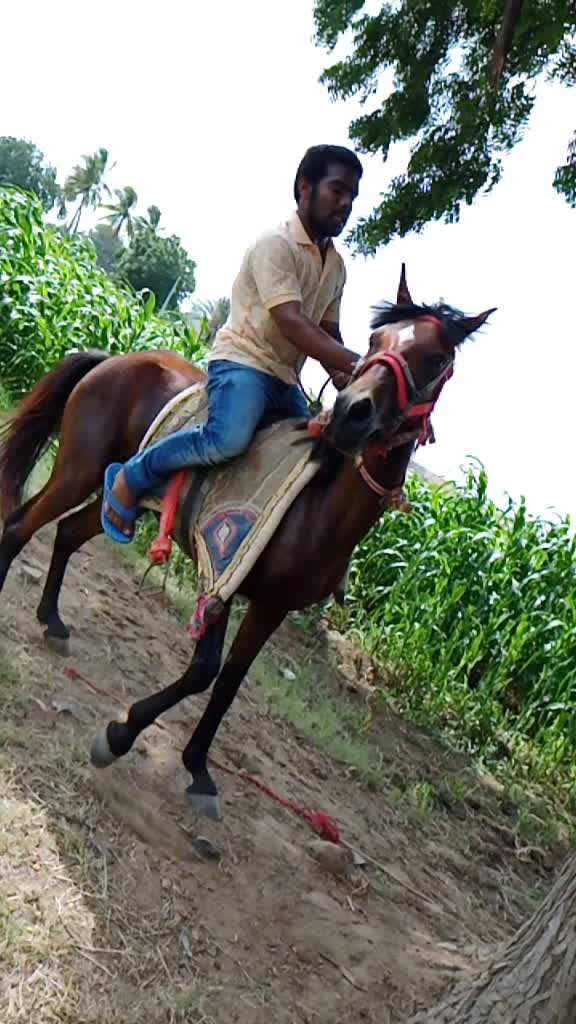 @Deepak khaniya